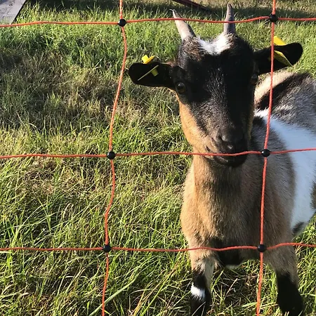 Ferienhof Loebejuen *