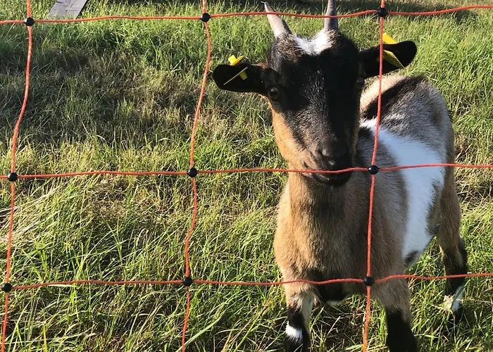 Ferienhof Loebejuen *