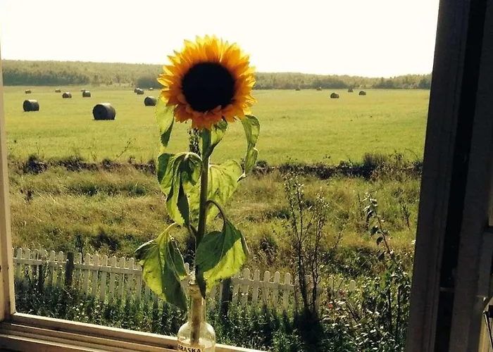 Ferienhof Loebejuen Campsite